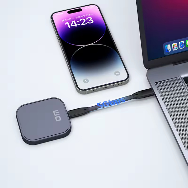 Disque Dur DM MINI FS510 512Gb