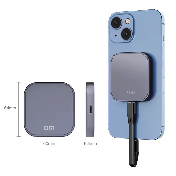 Disque Dur DM MINI FS510 1Tb